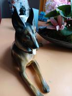 Herdershond jaren 50, Ophalen of Verzenden