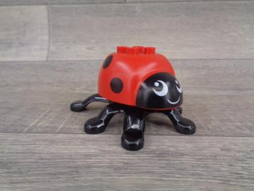 duplo lieveheersbeestje beschikbaar voor biedingen