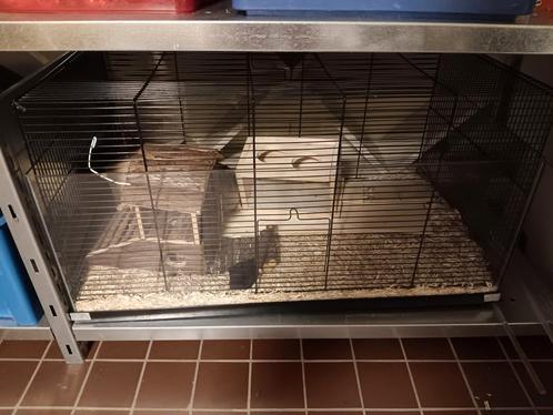 Hamsterkooi 80 cm, Dieren en Toebehoren, Knaagdieren en Konijnen | Hokken en Kooien, Gebruikt, Kooi, 90 cm of meer, 75 tot 110 cm