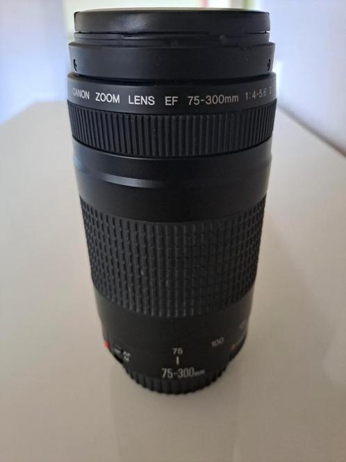 Canon EF 75-300mm f/4-5.6, Audio, Tv en Foto, Fotografie | Lenzen en Objectieven, Zo goed als nieuw, Telelens, Zoom, Ophalen of Verzenden