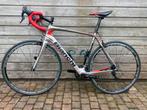 Bianchi Infinito CV,  57 cm, Carbon, Carbon, 57 tot 61 cm, Meer dan 20 versnellingen, Ophalen