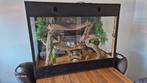 Nieuw compleet osb3 terrarium voor baardagaam gekko slang, Ophalen, Nieuw