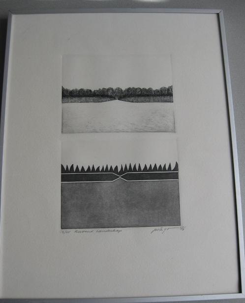Ets Herkend landschap Peter Yvon de Vries, Antiek en Kunst, Kunst | Etsen en Gravures, Ophalen