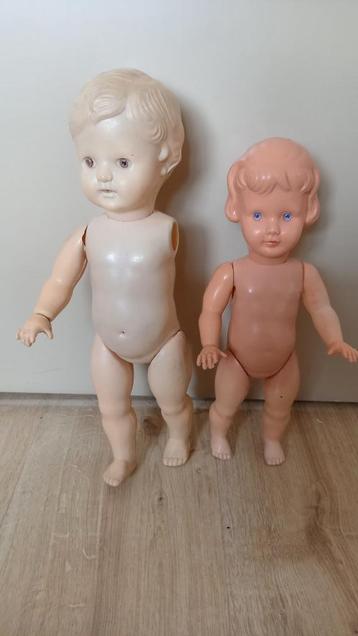 Vintage Pop - Wildebras 30cm en 35cm beschikbaar voor biedingen