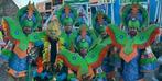 loopgroep carnaval, Ophalen, Zo goed als nieuw, Carnaval, Kleding