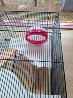 Knaagdieren / hamsterkooi Ferplast Karat 60 met toebehoren, Dieren en Toebehoren, Kooi, Minder dan 75 cm, Zo goed als nieuw, Hamster