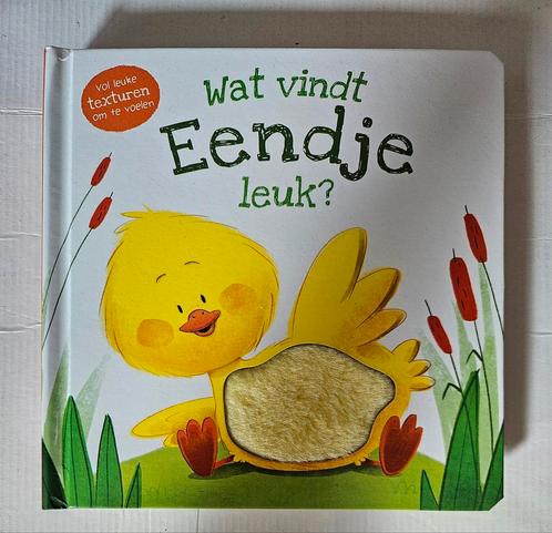 Daniel Mills - Wat vindt eendje leuk?, Boeken, Kinderboeken | Jeugd | onder 10 jaar, Nieuw, Ophalen of Verzenden