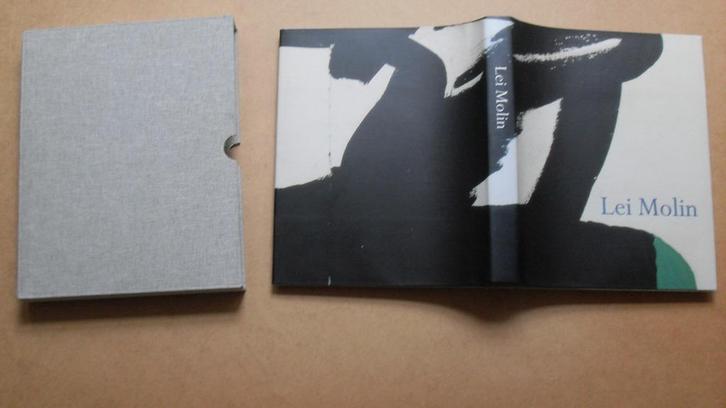 LEI MOLIN ; gesign litho/dik boek/cassette/lage prijs, Antiek en Kunst, Kunst | Litho's en Zeefdrukken, Ophalen of Verzenden