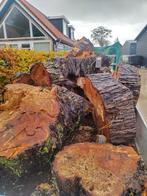 Haardhout wilg, Tuin en Terras, Haardhout, Minder dan 3 m³, Ophalen