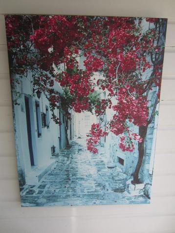 (Tuin)canvas schilderij - Bougainvillea  beschikbaar voor biedingen