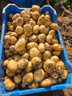 Nieuwe Frieslander aardappels te koop, Diversen, Levensmiddelen, Ophalen