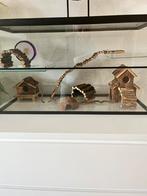 Terrarium met toebehoren voor hamsterscaping, Dieren en Toebehoren, Kooi, Hamster, 75 tot 110 cm, Ophalen