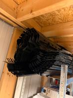 Vogelschroten zwart en oranje te koop, Meerdere dieren, Parkiet