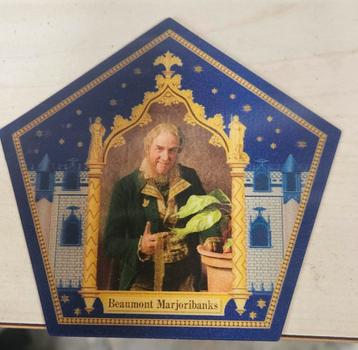 Harry Potter Chocolade Kikker Kaart - Beaumont Marjoribanks beschikbaar voor biedingen