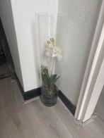 Decoratieve pot met nep orchidee, Ophalen, Zo goed als nieuw, Binnen