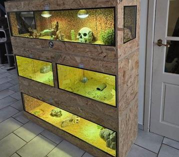 Osb3 terrarium RepHouSZ. Ook maatwerk beschikbaar voor biedingen