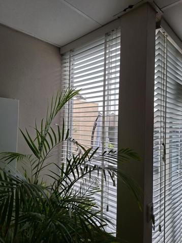 Aangeboden: houten jalouzieen wit klein prijsje beschikbaar voor biedingen