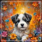 20x20 diverse Diamond painting, Ophalen of Verzenden, Nieuw, Knutselwerk