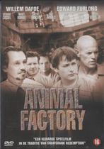 (20) Animal Factory: met Willem Dafoe en Edward Furlong, Overige gebieden, Gebruikt, Ophalen of Verzenden, Vanaf 16 jaar