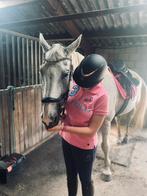 Verzorger aangeboden (omgeving Deurne NB), Dieren en Toebehoren, Paarden en Pony's | Verzorgingsproducten, Ophalen of Verzenden