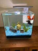 QUBIQ 30 PRO aquarium, Dieren en Toebehoren, Vissen | Aquaria en Toebehoren, Ophalen, Gevuld zoetwateraquarium
