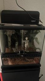 Exo terra 30x30x30, Dieren en Toebehoren, Reptielen en Amfibieën | Toebehoren, Ophalen of Verzenden, Zo goed als nieuw, Terrarium of Paludarium