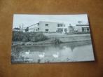ZUIDHORN  >  ZONNEHUIS MET 3 ZWANEN, Verzenden, 1940 tot 1960, Gelopen