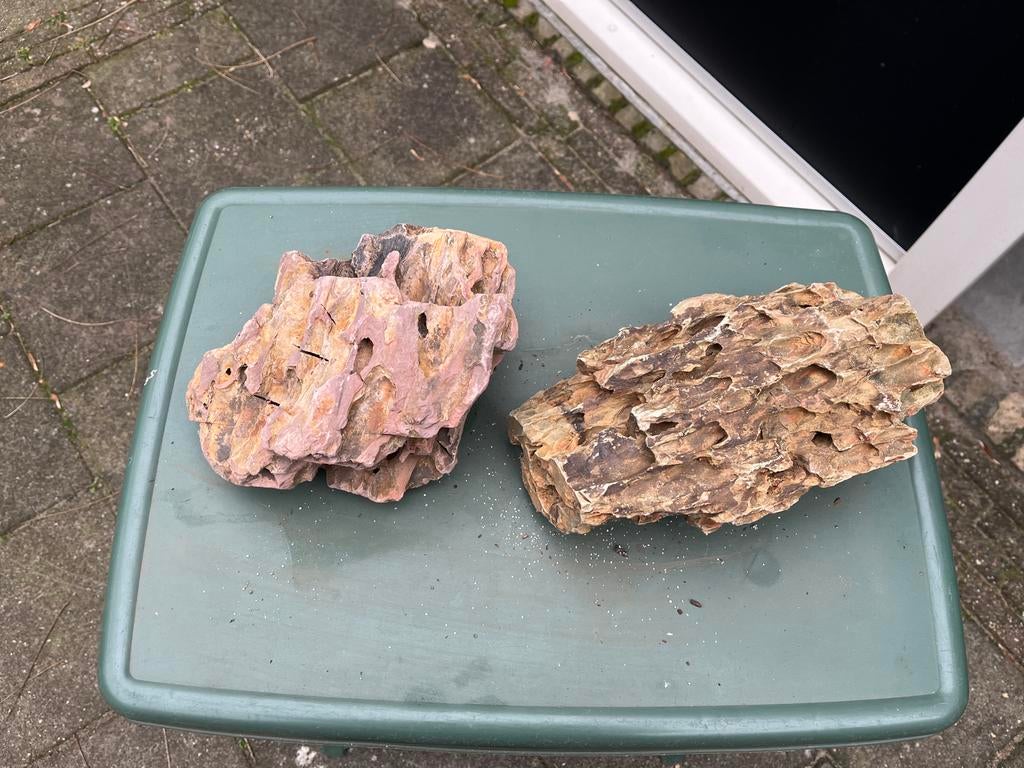 Stenen voor aquarium of terrarium, Ophalen of Verzenden, Gebruikt, Plant(en), Steen of Hout