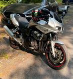 Yamaha FZS600 Fazer, Motoren, Sportuitlaat, 4 cilinders, Motorrijbewijs A, Particulier
