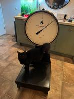 Antieke Avery Plateau Weegschaal, Witgoed en Apparatuur, Ophalen, Zo goed als nieuw, 500 gram of grover, Minder dan 10 kg