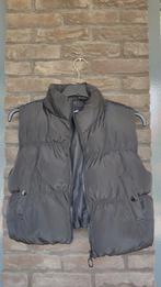 Leuke bodywarmer maat L, Kleding | Dames, Bodywarmers, Ophalen of Verzenden, Zo goed als nieuw, Maat 38/40 (M)