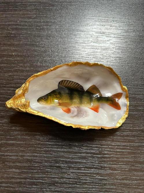 Karper cadeau je eigen gevangen karper in een oester foto, Watersport en Boten, Hengelsport | Karpervissen, Overige typen, Ophalen of Verzenden