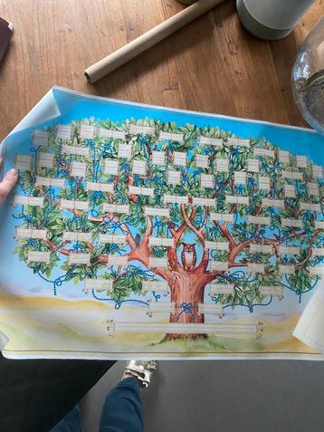 Familie stamboom  beschikbaar voor biedingen
