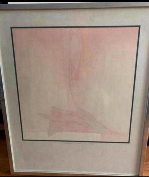 Schilderij Heel Licht Roze in Lijst. genummerd / gesigneerd, Antiek en Kunst, Kunst | Schilderijen | Modern, Ophalen of Verzenden