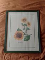 Schilderij groen zonnebloem, Ophalen of Verzenden, Zo goed als nieuw, Hout, Minder dan 50 cm