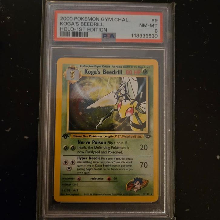 Kogas beedril holo psa 8, Hobby en Vrije tijd, Verzamelkaartspellen | Pokémon, Nieuw, Ophalen of Verzenden