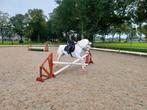 Omheining hout dressuurbaan 20x40, Ophalen, Nieuw, Overige soorten