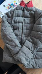 Tommy Hilfiger winter jas, Maat 52/54 (L), Tommy Hilfiger, Ophalen of Verzenden, Zo goed als nieuw