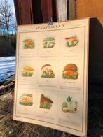 Diverse vintage Zweedse schoolplaten, botanisch, landkaart, Ophalen, Natuur en Biologie