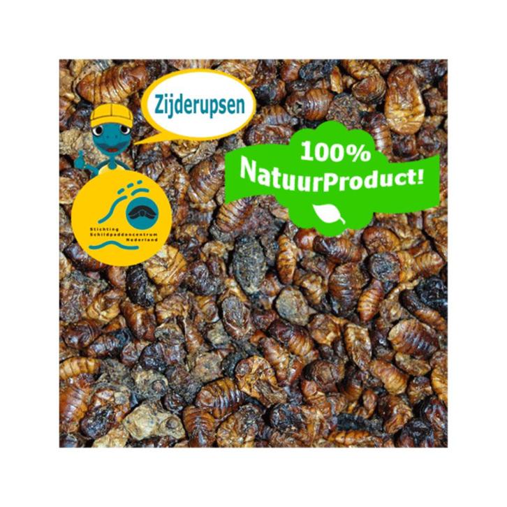 Gedroogde Zijderupsen voor Waterschildpadden (Natuurproduct), Dieren en Toebehoren, Reptielen en Amfibieën | Toebehoren, Nieuw