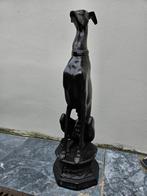 Bronzen Hazewindhond.  80cm hoog. 17kg zwaar., Ophalen, Zo goed als nieuw, Metaal