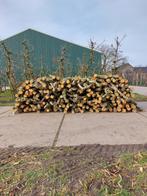 openhaardhout in haardhout, Stammen, 3 tot 6 m³, Ophalen, Overige houtsoorten