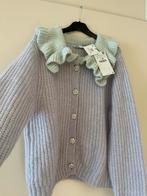 ZARA Mooie Vest Nieuw, Kleding | Dames, Overige kleuren, Zara, Maat 42/44 (L), Nieuw