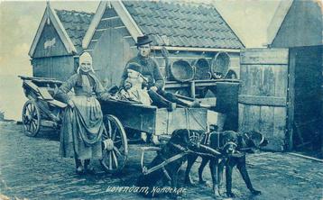 (378-341-009) Volendam Hondekar beschikbaar voor biedingen