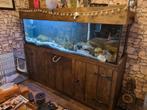 Compleet Aquarium 200x60x60 Incl. Onderkast, Dieren en Toebehoren, Ophalen, Gebruikt, Gevuld zoetwateraquarium