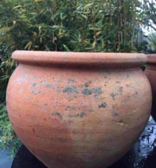 Antieke grote terracotta super bol bloempot kwaliteit uniek, Tuin en Terras, Bloempotten, Gebruikt, Terracotta, Binnen, Balkon