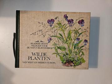 Wilde planten van west- en midden- Europa beschikbaar voor biedingen