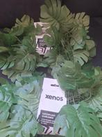 Xenos Gatenplant Guirlande - 2 stuks - Nieuw, Ophalen, Nieuw, Binnen
