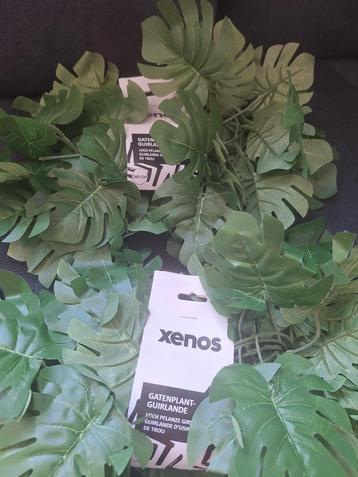 Xenos Gatenplant Guirlande - 2 stuks - Nieuw beschikbaar voor biedingen