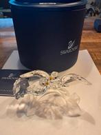 Swarovski Tortelduiven Kristal, Ophalen of Verzenden, Zo goed als nieuw, Figuurtje